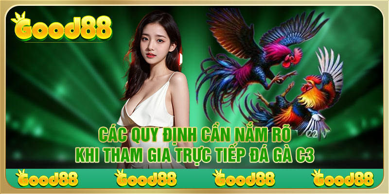 Các quy định cần nắm rõ khi tham gia trực tiếp đá gà C3