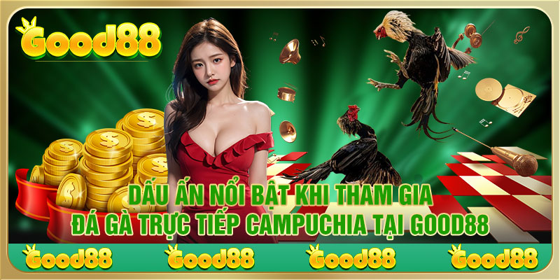 Dấu ấn nổi bật khi tham gia Đá gà trực tiếp Campuchia tại Good88