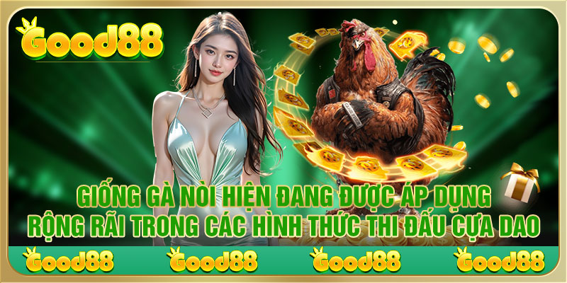 Trực Tiếp Đá Gà Cựa Dao