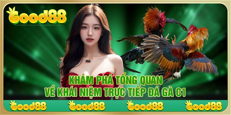 Khám phá tổng quan về khái niệm trực tiếp đá gà C1