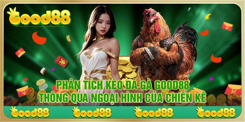 Phân tích kèo đá gà Good88 thông qua ngoại hình của chiến kê