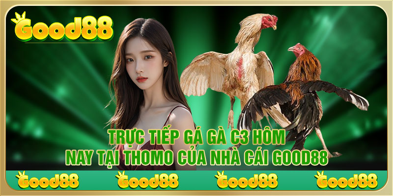 Trực Tiếp Gá Gà C3