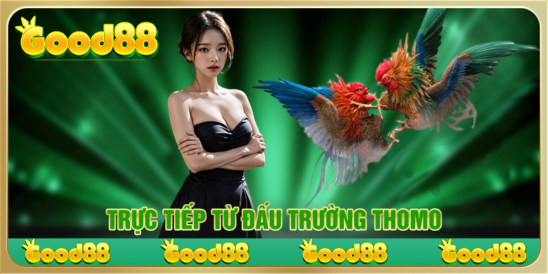 Trực tiếp từ đấu trường Thomo